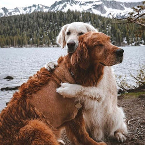 Meet your Posher, Nathanial